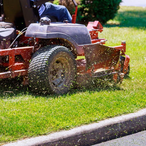 let us take care of your lawn care